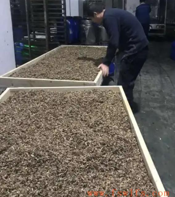 微信截图_20240706135258.png